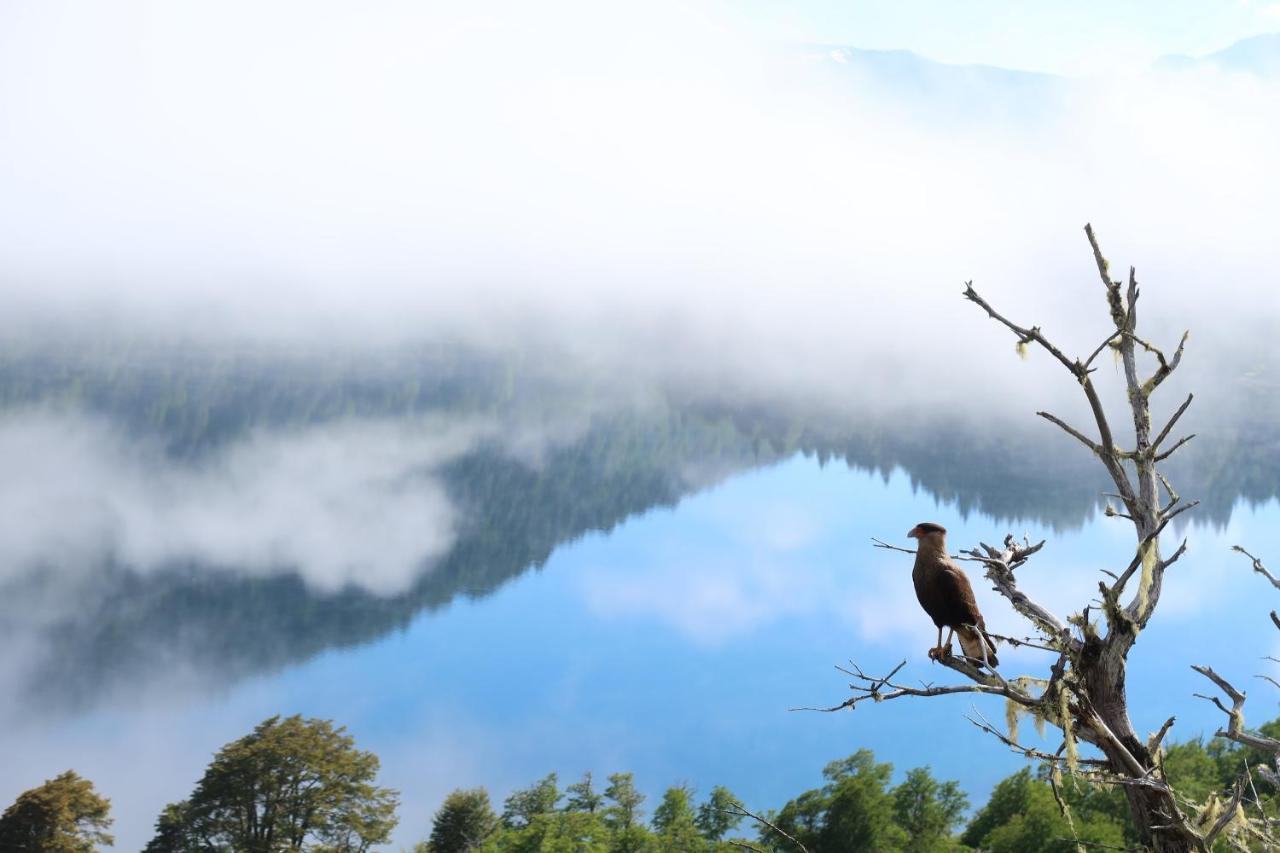 Hermoso Eco Lodge San Martín de los Andes Dış mekan fotoğraf