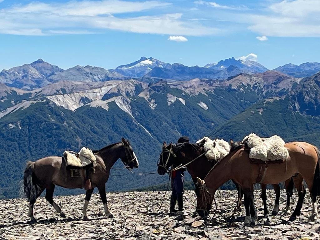 Hermoso Eco Lodge San Martín de los Andes Dış mekan fotoğraf